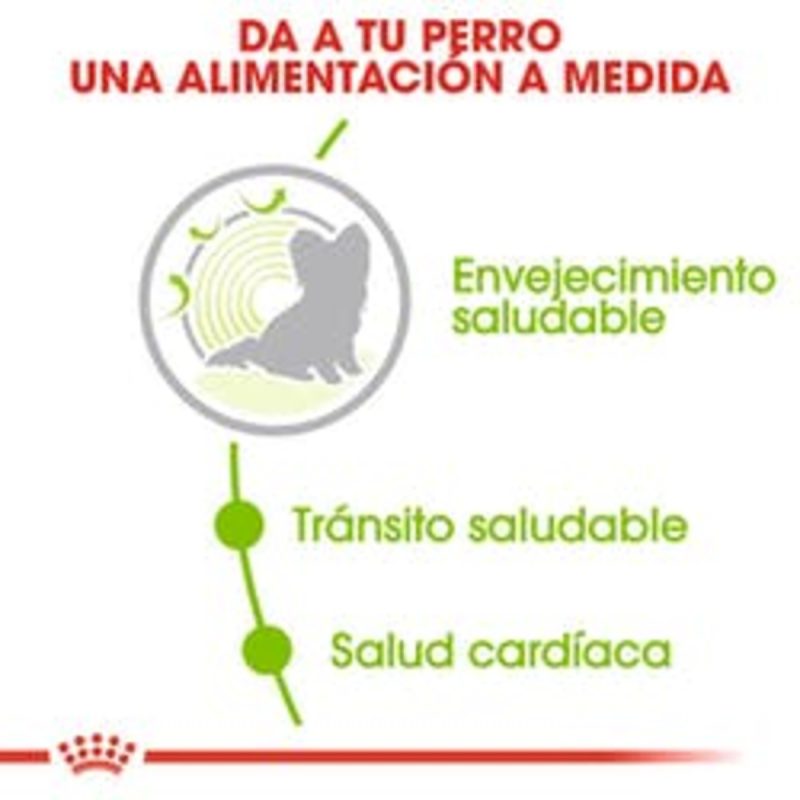 Royal Canin X-Small Ageing 12+, 1,5 kg - Imagen 6