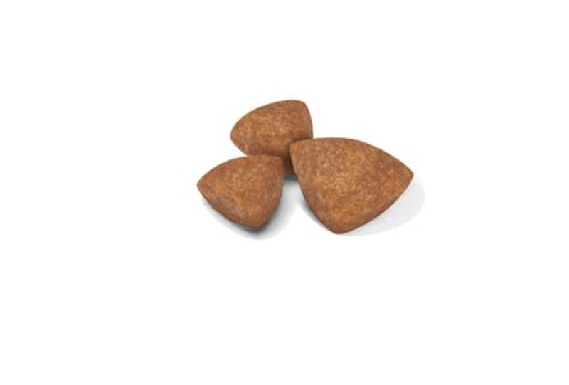 Royal Canin X-Small Puppy, 3kg - Imagen 2