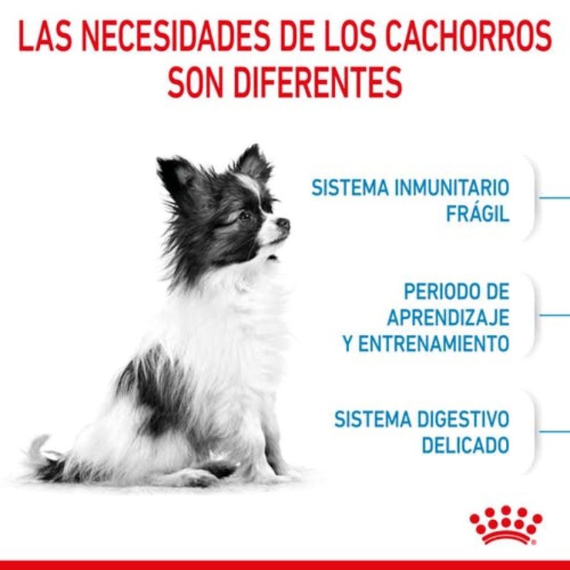 Royal Canin X-Small Puppy, 3kg - Imagen 6