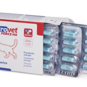 bioiberica-condrovet-force-ha-gatos-condroprotector-articular-45-capsulas.jpg