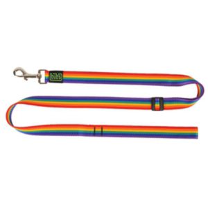 correa-extensible-rainbow-ancho-25mm-longitud-1-1-6m.jpg