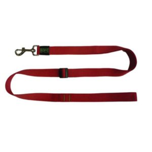 correa-extensible-roja-ancho-25mm-longitud-1-1-6m.jpg
