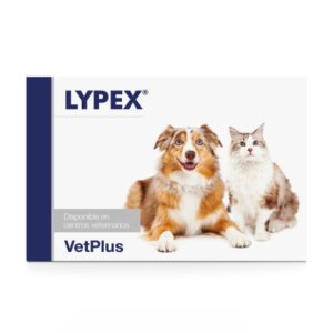 lypex-60-capsulas.jpg