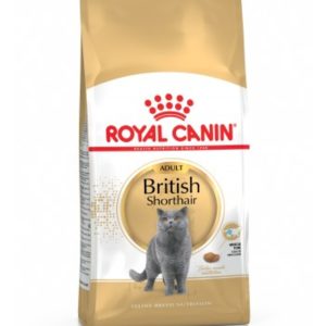 royal-canin-british-shorthair-saco-10-kg.jpg