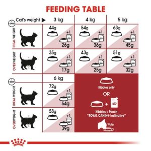 royal-canin-fit-32-10-kg.jpg