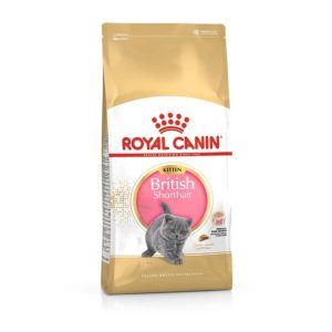 royal-canin-kitten-british-shorthair-saco-2-kg.jpg