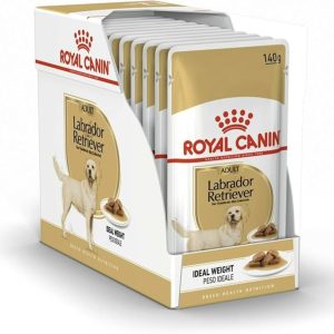 royal-canin-labrador-adult-caja-10-x-140-g.jpg