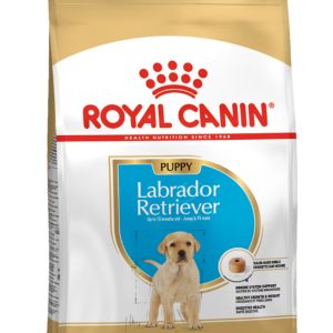 royal-canin-labrador-retriever-puppy-saco-12-kg.jpg