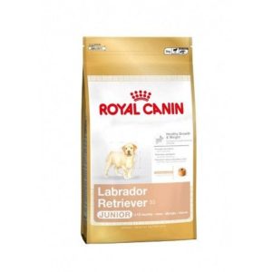 royal-canin-labrador-retriever-puppy-saco-3-kg.jpg
