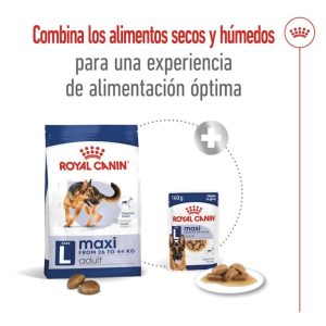 royal-canin-maxi-adult-15-3kg-gratis.jpg