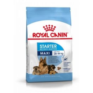 royal-canin-maxi-starter-saco-15-kg.jpg