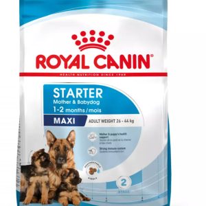 royal-canin-maxi-starter-saco-4-kg.jpg