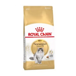 royal-canin-norwegian-forest-cat-saco-10-kg.jpg