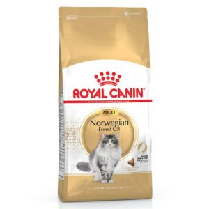 royal-canin-norwegian-forest-cat-saco-2-kg.jpg