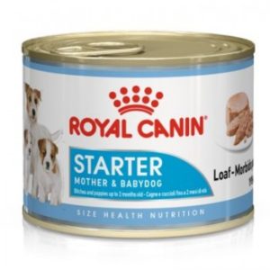 royal-canin-starter-mousse-bandeja-12-x-195-g.jpg